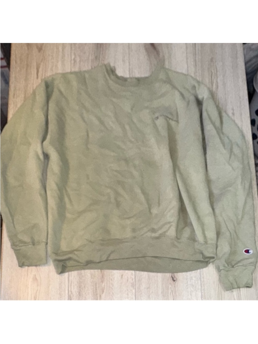 Champion Crewneck Sweatshirt in Sage Green